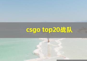 csgo top20战队